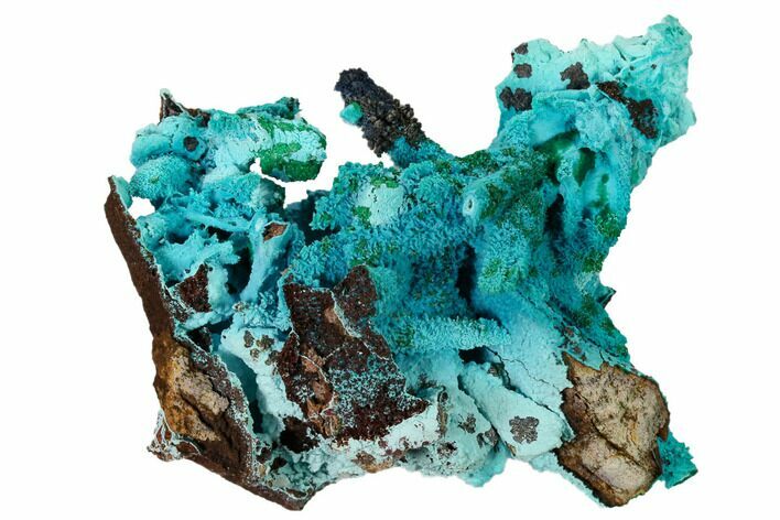 Chrysocolla and Malachite Pseudomorph - Lupoto Mine, Congo #167680